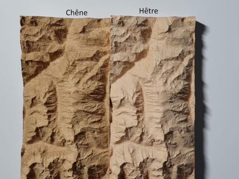 Hetre-Chene-dessus